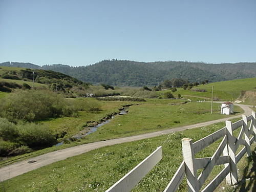 קליפורניה סיטי Point Reyes Vineyard Inn מראה חיצוני תמונה