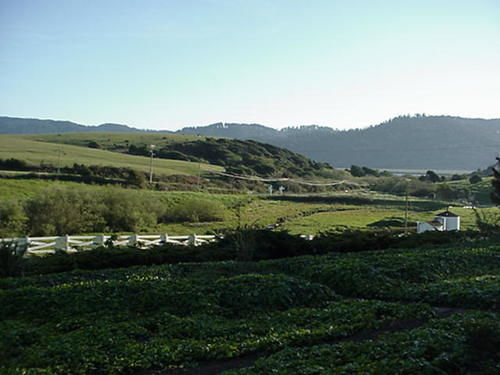 קליפורניה סיטי Point Reyes Vineyard Inn מראה חיצוני תמונה