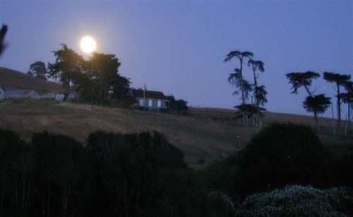 קליפורניה סיטי Point Reyes Vineyard Inn מראה חיצוני תמונה