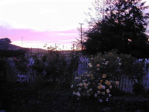 קליפורניה סיטי Point Reyes Vineyard Inn מראה חיצוני תמונה