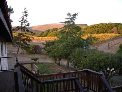 קליפורניה סיטי Point Reyes Vineyard Inn מראה חיצוני תמונה