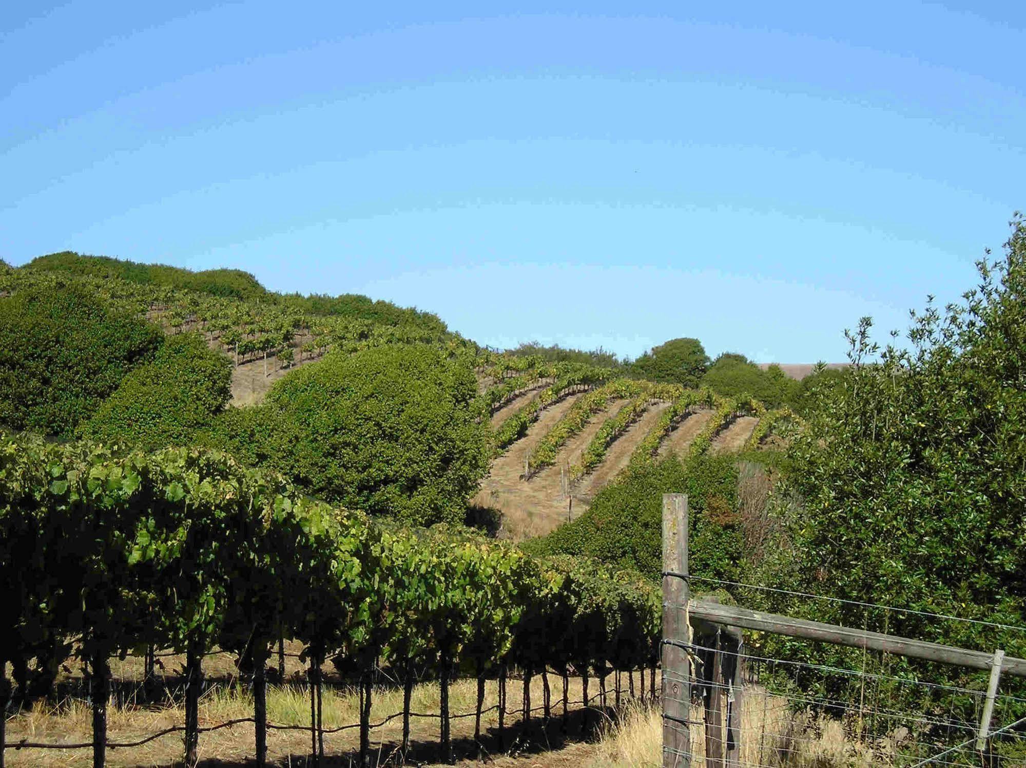 קליפורניה סיטי Point Reyes Vineyard Inn מראה חיצוני תמונה